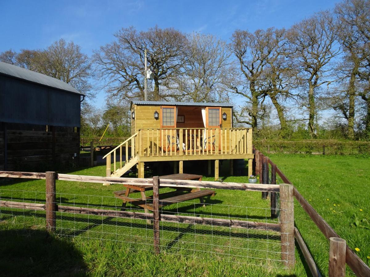 Farm stay The Lazy Shepherd *